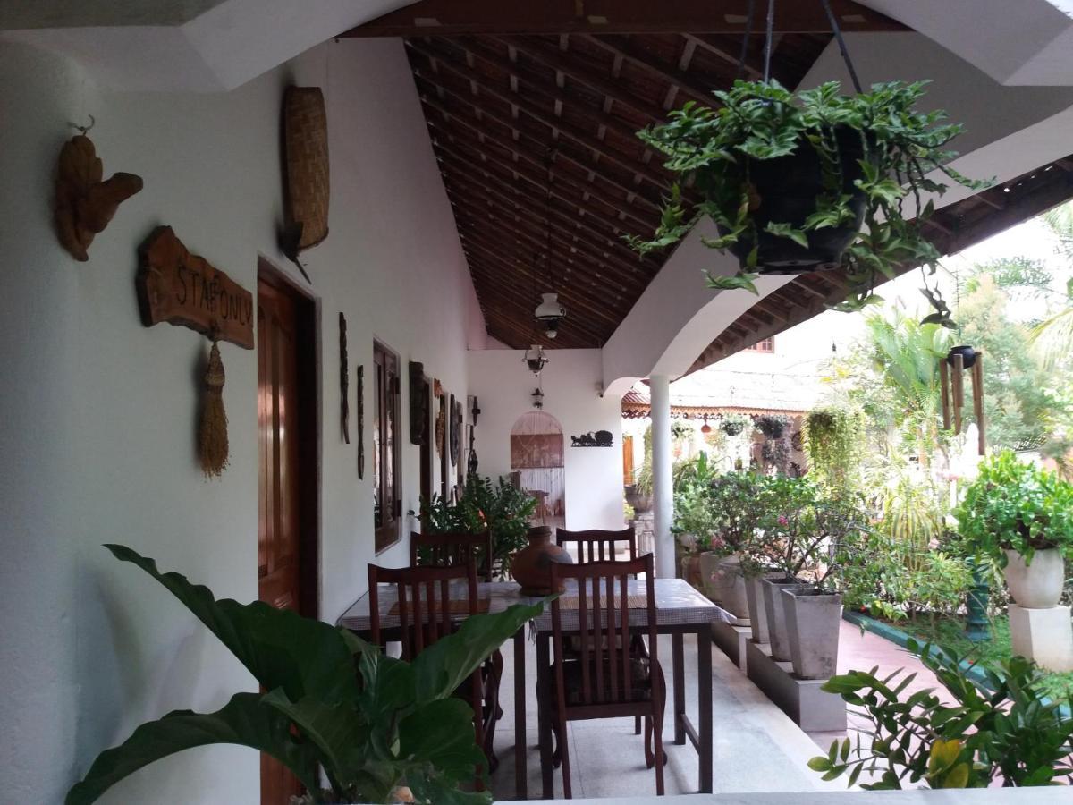 Embiente Guest House Negombo Eksteriør billede